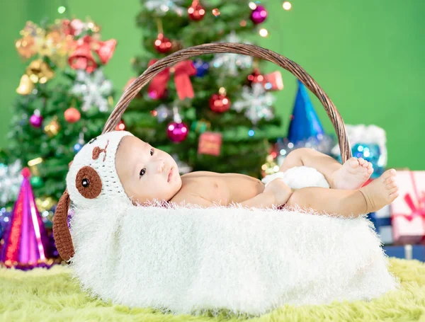 Gelukkig Nieuwjaar Kerstboom Met Schattige Kleine Baby Dragen Hond Kostuum — Stockfoto