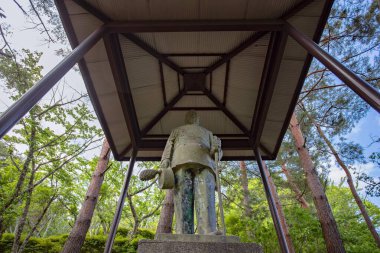 Yamanashi, Japonya - 19 Mayıs 2019: Yamanashi, Japonya 'daki Chureito Pagoda.