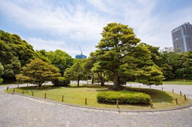 TOKYO JAPAN Mayıs - 18, 2019: Chuo ilçesindeki Hamarikyu Bahçeleri, Toyko, Japonya