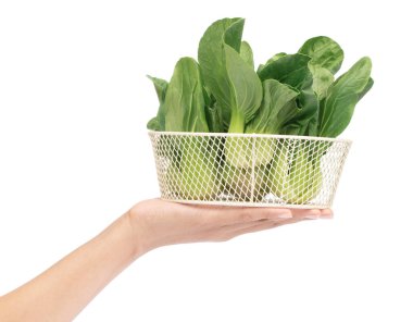 Beyaz arka planda izole edilmiş taze Çin lahana sepeti.