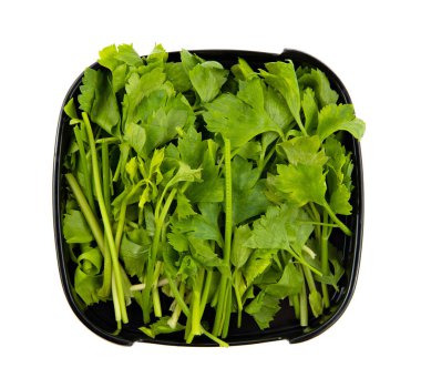 Beyaz arkaplanda yalıtılmış maydanoz