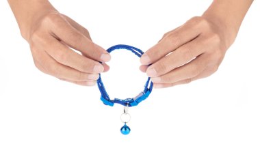 El ele tutuşan kedi ve köpek tasması beyaz bir arka planda izole edilmiş..