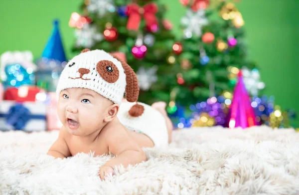 Gelukkig Nieuwjaar Kerstboom Met Schattige Kleine Baby Dragen Hond Kostuum — Stockfoto