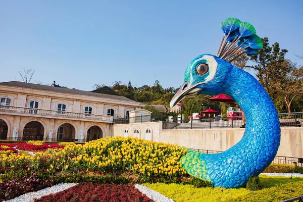 Danang Vietnam Febrero 2019 Jardín Flores Con Muchos Tipos Flores —  Fotos de Stock