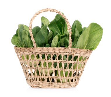 Sepette taze Çin lahanası, beyaz arka planda izole edilmiş.