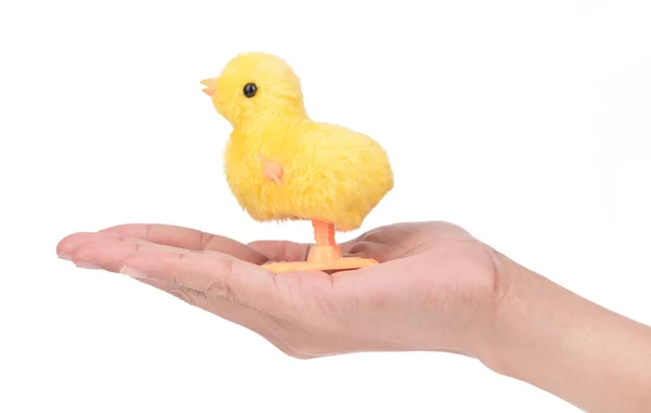 Ruční Držení Hračky Kuřata Izolované Bílém Pozadí — Stock fotografie