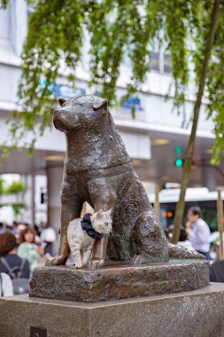 TOKYO JAPAN - 15 Mayıs 2019: Tokyo, Shibuya istasyonunun dışında Hachiko köpek heykelinin üzerinde oturan kedi tatlısı
