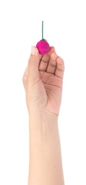 El ele tutuşan bomba, beyaz arka planda izole edilmiş renkli bir top.