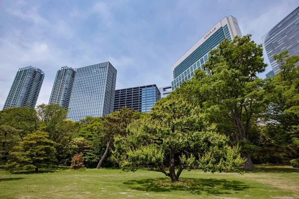 Tokyo Japan Maj 2019 Hamarikyu Gardens Chuo Distriktet Toyko Japan — Stockfoto