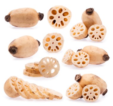 Beyaz arkaplanda izole edilmiş nilüfer kökü koleksiyonu.