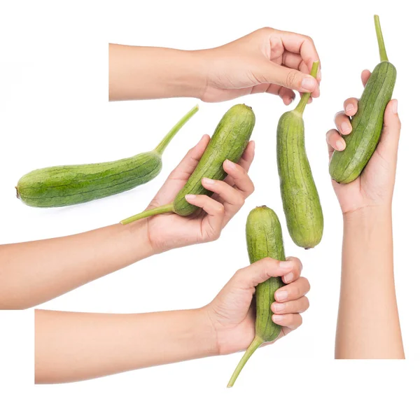 Set Von Hand Hält Frische Zucchini Isoliert Auf Weißem Hintergrund — Stockfoto