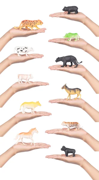 Sammlung Von Hand Haltenden Tierspielzeugen Isoliert Auf Weißem Hintergrund — Stockfoto