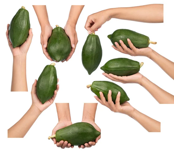 Insamling Hand Håller Färsk Papaya Isolerad Vit Bakgrund — Stockfoto