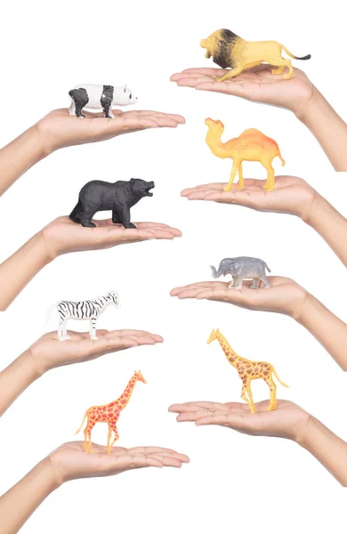 Coleção Mão Segurando Brinquedo Animal Isolado Fundo Branco — Fotografia de Stock