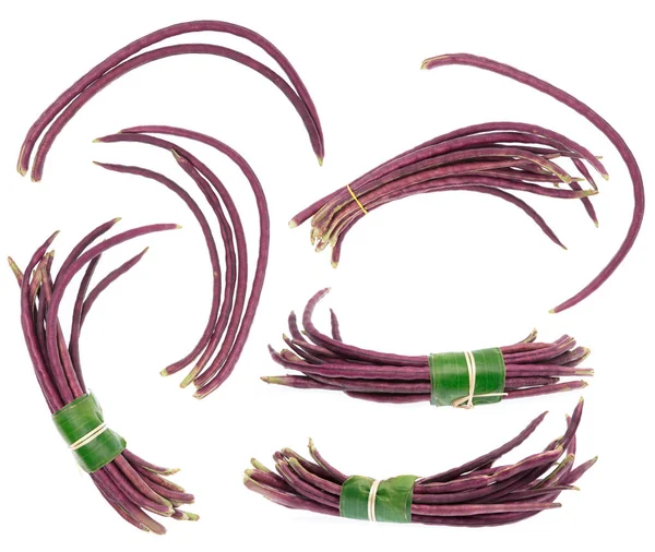 白地に単離されたヤード長豆紫のコレクション — ストック写真