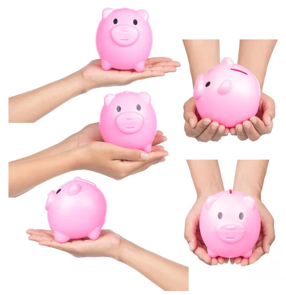 Collection Hand Holding Piggy Bank Style Money Box Isolated White — Stock Photo, Image