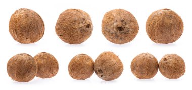 Hindistan cevizi koleksiyonu Beyaz zemin üzerinde eski kahverengi izole.