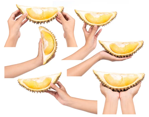 Hand Innehav Insamling Durian Isolerad Vit Bakgrund — Stockfoto
