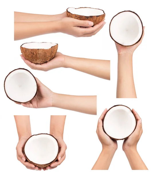 白い背景に隔離されたココナッツ旧茶色の手の保持部分のコレクション — ストック写真