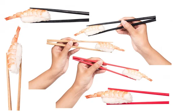 白地に隔離された箸で握る寿司エビのコレクション — ストック写真