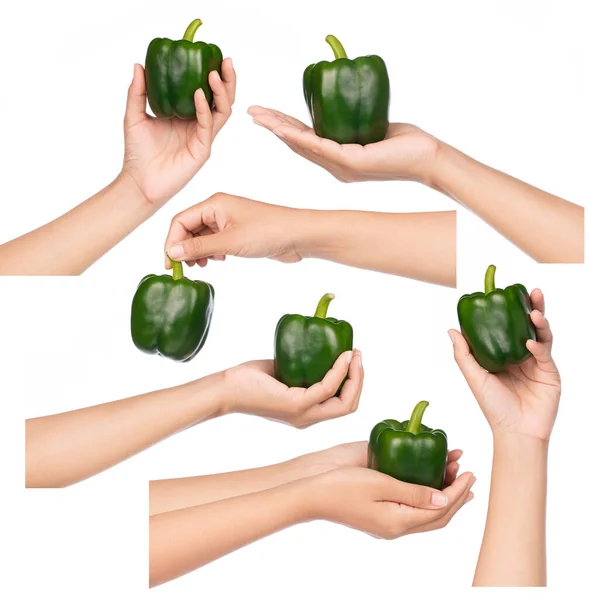 Kolekce Ruční Držení Sweet Green Bell Pepper Izolované Bílém Pozadí — Stock fotografie