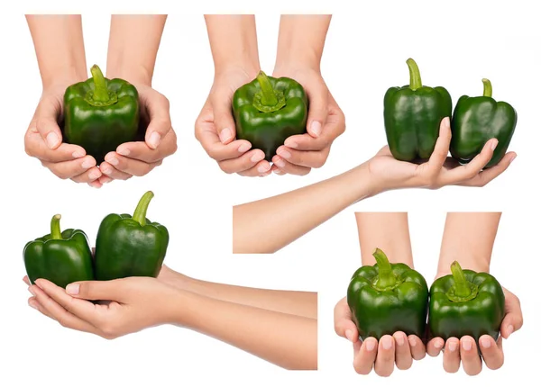 Kolekce Ruční Držení Sweet Green Bell Pepper Izolované Bílém Pozadí — Stock fotografie
