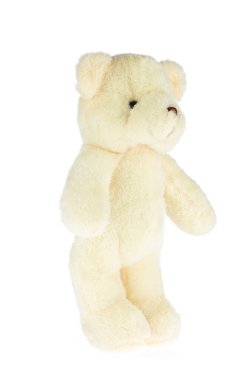 sevimli ayıcık beyaz zemin üzerine izole