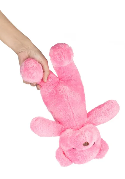 Hand Holding Lovely Pink Teddy Bear Isolated White Background — Stock Photo, Image