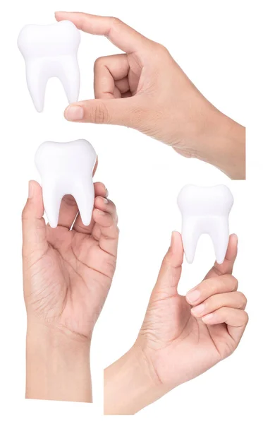 Kolekcja Gospodarstwa Ręcznego Model Zabawki Zęby Izolowane Białym Tle — Zdjęcie stockowe
