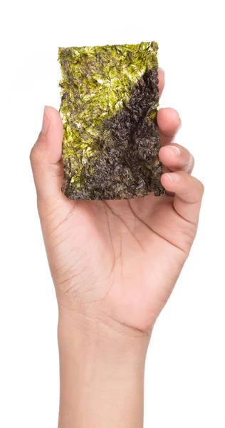 Hand Hält Crispy Nori Algen Isoliert Auf Weißem Hintergrund — Stockfoto