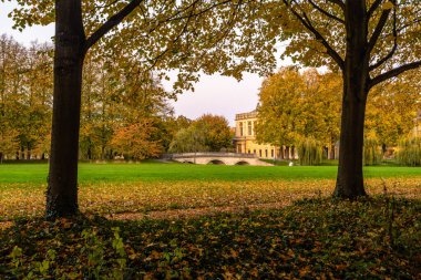 Sonbaharda Trinity Koleji 'nin arkasındaki bahçe, Cambridge, İngiltere