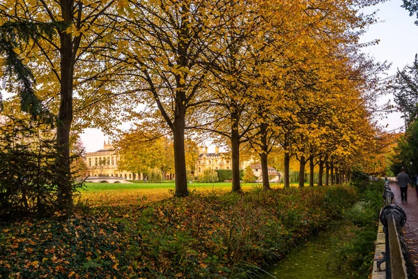 Giardino sul retro del Trinity College in autunno, Cambridge, Regno Unito — Foto Stock