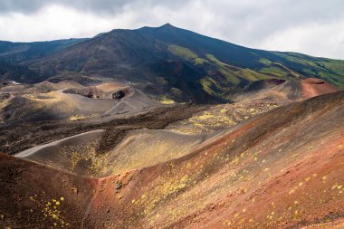 Etna Dağı volkanik manzarası ve tipik bitki örtüsü Sicilya