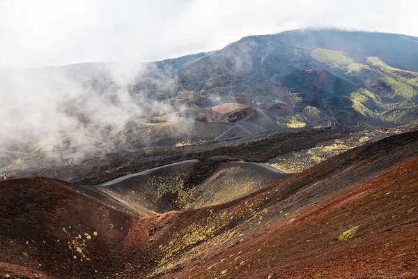 Vulkanlandschaft des Ätna und seine typische Vegetation, Sizilien — Stockfoto