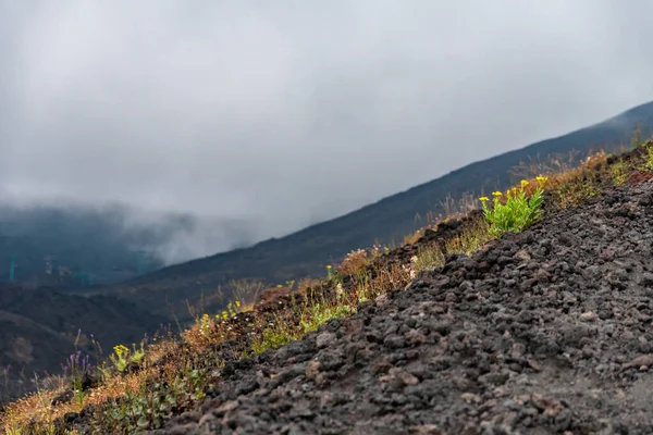 Kilátás Etna Vulkán Kráterek Között Felhők Közelében Rifugio Sapienza Szicília — Stock Fotó
