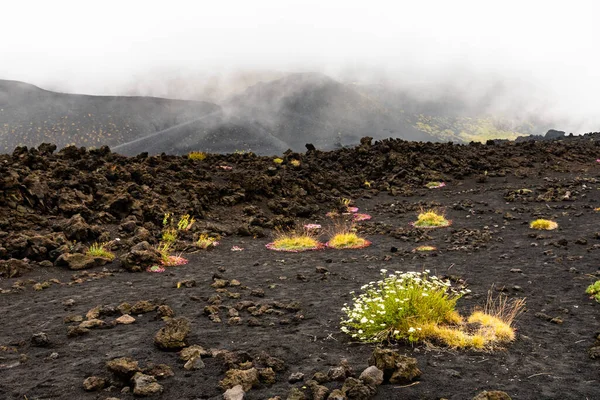 Utsikt Över Etna Vulkankratrar Bland Molnen Nära Rifugio Sapienza Sicilien — Stockfoto