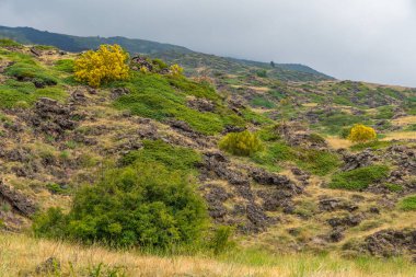 Rifugio Sapienza yakınlarındaki bulutlar arasında Etna volkanı manzarası. Tipik yaz bitkileri ve çiçekler lav akışını kısmen kaplar. Sicilya, İtalya