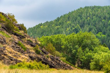 Rifugio Sapienza yakınlarındaki bulutlar arasında Etna volkanı manzarası. Tipik yaz bitkileri ve çiçekler lav akışını kısmen kaplar. Sicilya, İtalya