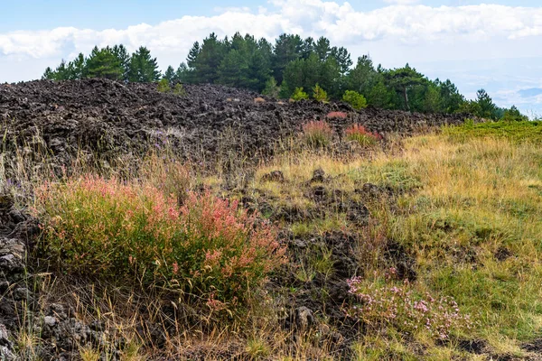 Utsikt Över Etna Vulkan Landskap Bland Molnen Nära Rifugio Sapienza — Stockfoto