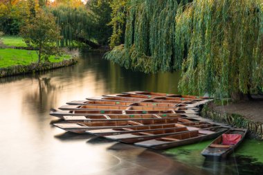 Cambridge, İngiltere 'deki Cam nehrinin kenarına yanaşan bir grup topa uzun süre maruz kalmış.