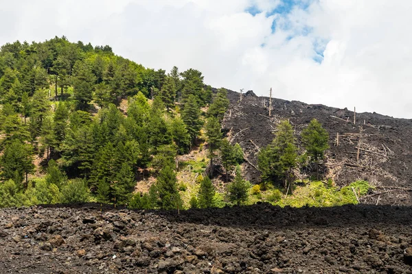 Monte Etna paisaje volcánico y su vegetación típica, Sicilia —  Fotos de Stock