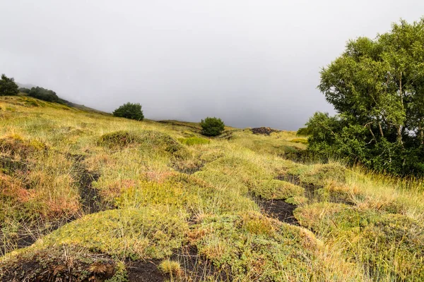 Monte Etna paisagem vulcânica e sua vegetação típica, Sicília — Fotografia de Stock