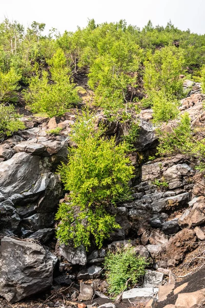 Etna vulkaniska landskap och dess typiska vegetation, Sicilien — Stockfoto