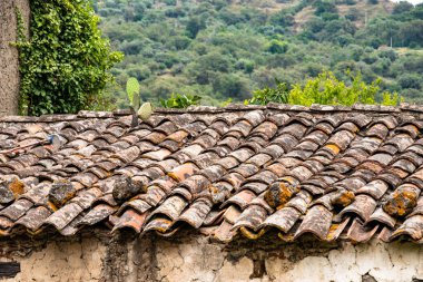 Sicilya 'da terkedilmiş bir kiremit çatısının tepesinde dikenli armut bitkisi yetişiyor.