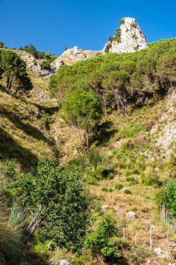 Catafurco şelalesi yakınlarındaki Nebrodi parkında tipik Sicilya manzarası.