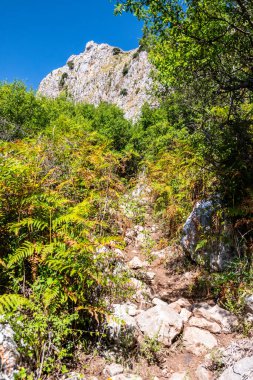 Sicilya 'daki Nebrodi Parkı' ndaki Alcara Li Fusi kasabası yakınlarındaki Rocca del Crasto manzarası.