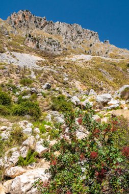 Sicilya 'daki Nebrodi Parkı' ndaki Alcara Li Fusi kasabası yakınlarındaki Rocca del Crasto manzarası.