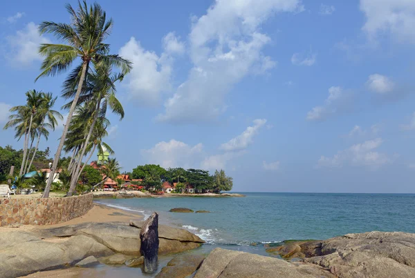 Sea, palm trees and sand — Stock Photo, Image