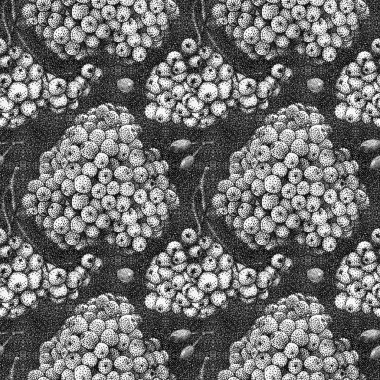 Rowan ve elle çizilmiş briar ile Seamless Modeli