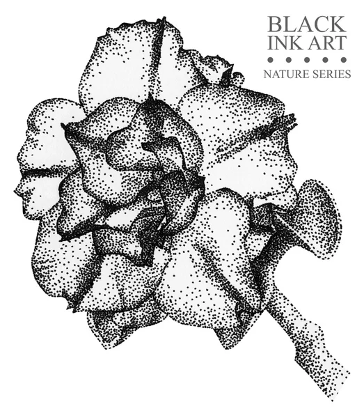 Εικονογράφηση με λουλούδι αζαλέα, ζωγραφισμένο με το χέρι, με μαύρο μελάνι — Φωτογραφία Αρχείου